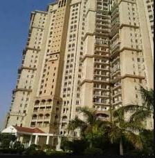 DLF Regency Park 1